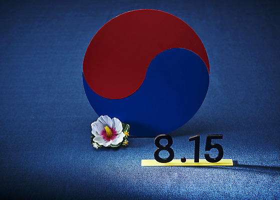 포토 JPG 스튜디오촬영 기념일 실내 사람없음 자유 태극기 국경일 오브젝트 파란배경 태극 무궁화 광복절 정부수립 국내포토 문양 꽃 백그라운드 컨셉 이벤트 내부 파란색 공휴일 국기 광복 파일형식