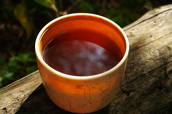 포토 JPG 해외이미지 나무 라이프스타일 음료 음식 여행 백그라운드 컨셉 잎 자연 아침 휴가 산 사람없음 야외 목재 컵 초록색 여름 소풍 검은색 하이킹 머그컵 가을 뜨거움 차 아침식사 숲 통나무 카피스페이스 해외202007 해외포토 주간 식물 식기 계절 컬러 재료 레저 생활 야외활동 식사 공백 생태계 파일형식