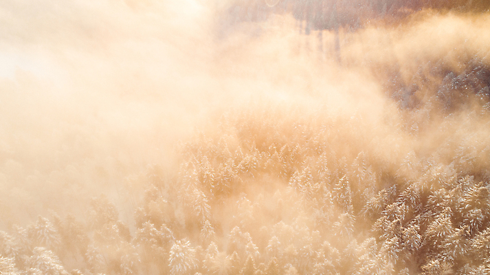 포토 JPG 해외이미지 나무 계절 실루엣 여행 백그라운드 겨울 자연 아침 동화 산 안테나 풍경 사람없음 야외 빛 햇빛 태양 일출 환경 냉동 추위 안개 광선 시골 소나무 눈송이 황무지 숲 언덕 서리 공상 전나무 드론 삼림지대 스칸디나비아 폭설 눈내림 가문비나무 해외202007 해외포토 주간 자연요소 식물 통신 날씨 눈_날씨 촬영기법 노을 자연재해 생태계 파일형식