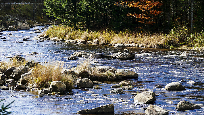 포토 JPG 해외이미지 나무 여행 백그라운드 이동 잎 모션 자연 풍경 사람없음 야외 목재 초록색 물 파란색 강 반사 평화 침묵 하이킹 흐름 가을 바위 신선 개울 고독 숲 암초 내추럴 화강암 해외202007 해외포토 자연요소 식물 계절 감정 컬러 컨셉 재료 레저 소리 암석 돌_바위 생태계 파일형식