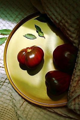 포토 JPG 해외이미지 식물 음식 백그라운드 잎 농업 다이어트 토마토 채소 과일 재료 자연 건강 요리 사람없음 빨간색 초록색 빛 식사 활발 샐러드 성장 흰색 신선 원형 시장 맛 케첩 먹기 오브젝트 싱글 유기농 원예 날것 내추럴 고립 숙성 영양분 채식주의자 맛있는 해외202007 해외포토 도형 웰빙 산업 컬러 컨셉 모션 취미 소스_음식 생태계 채식 파일형식