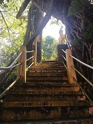 포토 JPG 해외이미지 나무 식물 계절 공원 아시아 종교 여행 백그라운드 건축양식 자연 하늘 풍경 사람없음 야외 건물 목재 초록색 여름 파란색 조각상 계단 도시 숲 그늘 포도나무 숭배 옛날 해외202007 해외포토 건축물 공공시설 건축 나라 컬러 재료 조형물 과일나무 생태계 파일형식