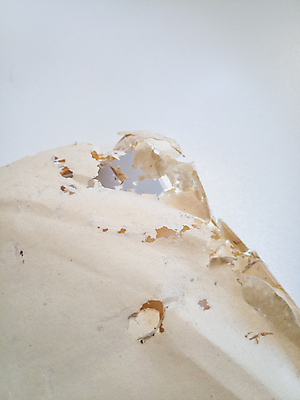 포토 JPG 해외이미지 동물 옷 종이 음식 곤충 백그라운드 절지류 생물 주택 앉기 사람없음 책 가로 카펫 회색 흰색 해충 벌레 은색 작음 자르기 묘사 녹말 접착제 해외202007 해외포토 컬러 모션 건물 풀_접착제 크기 파일형식