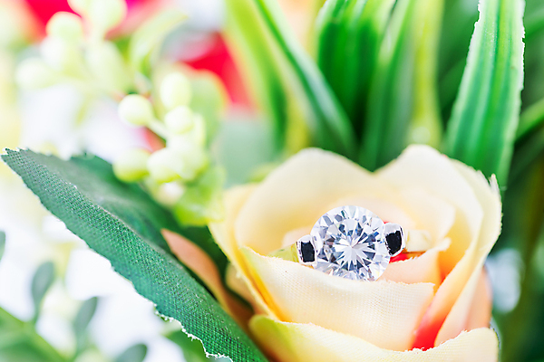 포토 JPG 해외이미지 기념일 꽃 결혼 백그라운드 장신구 결혼식 발렌타인데이 선물 사랑 사람없음 빨간색 장미 낭만 축하 반지 악단 오픈 황금 고급 보석 집중 묘사 결혼반지 다이아몬드 약혼 백금 제안 해외202007 해외포토 식물 감정 음악 컬러 컨셉 데이이벤트 이벤트 광석 약속 파일형식