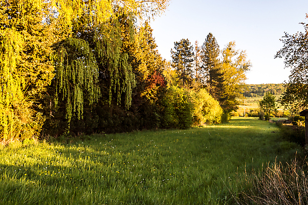 포토 JPG 해외이미지 나무 식물 여행 백그라운드 자연 하늘 풍경 초원 사람없음 초록색 여름 파란색 햇빛 태양 농장 일출 맑음 일몰 봄 숲 땅 벨기에 내추럴 해외202007 해외포토 자연요소 계절 컬러 농업 날씨 노을 생태계 서유럽 파일형식