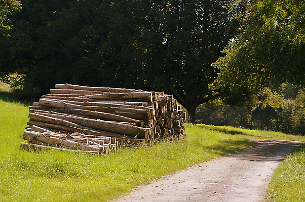 포토 JPG 해외이미지 나무 유럽 도로 길 여행 농업 자연 불 따뜻함 사람없음 야외 목재 태양 농장 쌓기 프랑스 시골 숲 장작 오솔길 자르기 통나무 연료 잡동사니 내추럴 길가 밭일 벌목 삼림지대 생태학 선로 수목 해외202007 해외포토 자연요소 식물 교육 나라 산업 재료 교통시설 모션 생태계 파일형식