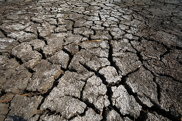 포토 JPG 해외이미지 계절 지구 호수 모래 백그라운드 패턴 자연 표면 날씨 건조 풍경 사람없음 물 여름 글로벌 갈색 환경 흙 손상 사막 슬픔 죽음 뜨거움 거친 오염 변화 균열 댐 땅 부식 질감 먼지 충격 가뭄 지구온난화 내추럴 기후변화 깨짐 땅바닥 생태학 위기 재앙 해외202007 해외포토 자연요소 공공시설 교육 감정 컬러 컨셉 무늬 모션 바닥 생태계 파일형식