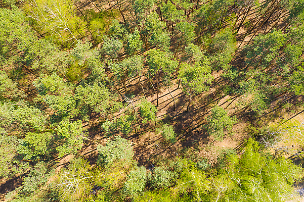 포토 JPG 해외이미지 나무 식물 디자인 계절 공원 아시아 도로 여행 백그라운드 잎 패턴 일러스트 자연 벽지 추상 산 풍경 사람없음 야외 목재 초록색 물 여름 강 환경 가을 나뭇가지 시골 신선 정상 숲 질감 내추럴 드론 조감도 해외202007 해외포토 자연요소 공공시설 나라 길 컬러 무늬 재료 교통시설 생태계 파일형식