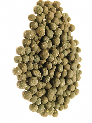 포토 JPG 해외이미지 접시 음식 백그라운드 재료 건조 요리 씨앗 사람없음 목재 세트 갈색 노란색 숟가락 흰색 신선 뜨거움 양념 조미료 사발 맛 정상 작음 낟알 수집 머스터드 향신료 유기농 매움 날것 아로마 향 아로마테라피 흙더미 내추럴 고립 입가심 채식주의자 맛있는 해외202007 해외포토 나무 식물 식기 웰빙 컬러 컨셉 수저 흙 사기그릇 소스_음식 크기 채식 테라피 향미료 파일형식 더미