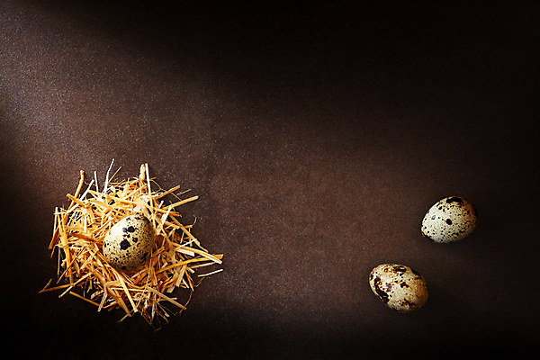 포토 JPG 해외이미지 동물 계절 야생동물 음식 백그라운드 잎 다이어트 재료 텍스트 자연 조류 부활절 건강 요리 사람없음 목재 갈색 바구니 계란 치킨 봄 가을 흰색 시골 그룹 둥지 볏짚 아침식사 정상 숲 작음 먹기 밀짚 내추럴 단백질 메추리 해외202007 해외포토 나무 식물 기념일 컬러 모션 알 식사 짚 크기 생태계 닭고기요리 영양소 파일형식