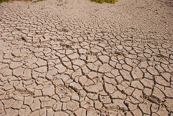 포토 JPG 해외이미지 동물 공원 호수 야생동물 분홍색 여행 백그라운드 자연 조류 멕시코 사람없음 야외 빨간색 초록색 물 컬러풀 환경 관찰 보트 그룹 깃털 호기심 악어 지역 유카탄 석호 내추럴 이국적 전국 해외202007 해외포토 자연요소 공공시설 감정 컬러 컨셉 북아메리카 배_교통 파충류 모션 생태계 파일형식