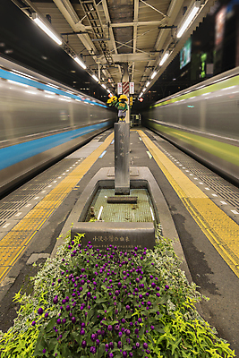 포토 JPG 해외이미지 옷 계절 꽃 어린이 조각 티셔츠 패턴 해바라기 서기 사람없음 야외 물 빛 태양 노란색 금속 일본 터치 외계인 액체 도쿄 야간 플라스틱 속도 네온 청동 단상 방광 옛날 콘크리트 해외202007 해외포토 자연요소 식물 아시아 컬러 셔츠 무늬 모션 재질 사람 미확인물체 비뇨기관 파일형식