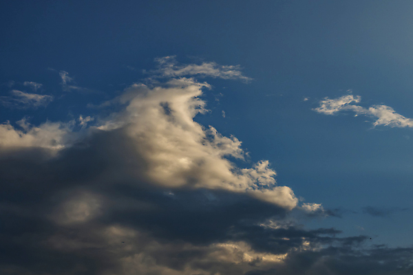 포토 JPG 해외이미지 구름 계절 백그라운드 패턴 자연 벽지 하늘 날씨 추상 안테나 파노라마 미술 풍경 사람없음 야외 여름 파란색 빛 햇빛 태양 일출 환경 맑음 침묵 일몰 봄 흰색 분위기 정상 장면 부드러움 스카이라인 내추럴 수평선 해외202007 해외포토 자연요소 컬러 컨셉 무늬 통신 문화예술 촬영기법 노을 소리 감각 생태계 파일형식