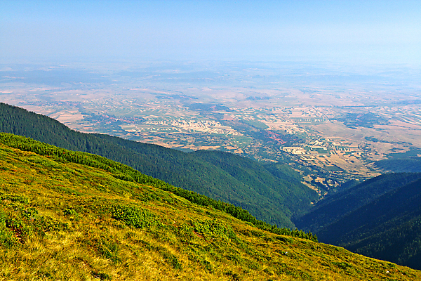 포토 JPG 해외이미지 나무 공원 여행 밭 자연 하늘 휴가 산 주택 안테나 파노라마 풍경 초원 사람없음 야외 초록색 여름 파란색 농장 마을 환경 계곡 하이킹 시골 정상 숲 땅 언덕 장면 녹색배경 내추럴 프로방스 해외202007 해외포토 식물 계절 공공시설 컬러 백그라운드 농업 통신 레저 촬영기법 건물 생태계 파일형식