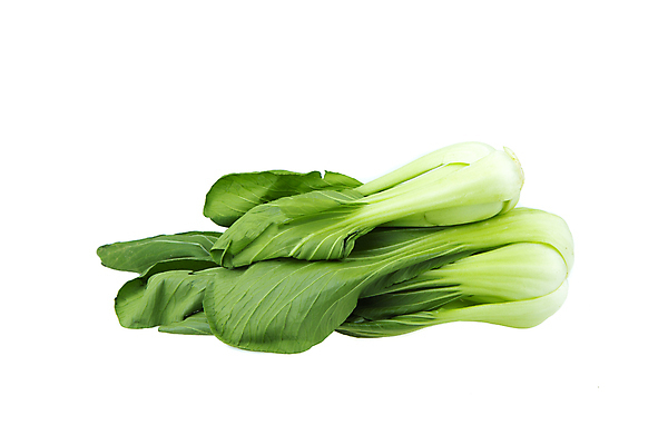 포토 JPG 해외이미지 식물 음식 잎 다이어트 채소 재료 자연 건강 요리 사람없음 초록색 주방 식사 샐러드 신선 유기농 채식주의자 해외202007 해외포토 웰빙 컬러 생태계 채식 파일형식