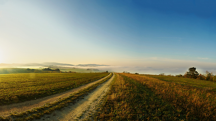 포토 JPG 해외이미지 나무 구름 응시 계절 십자가 낙엽 잎 자연 산 파노라마 풍경 초원 사람없음 가로 초록색 햇빛 마을 일출 탑 새벽 활발 가을 시골 숲 땅 밀 언덕 지역 스카이라인 강렬 방법 삼림지대 슬로바키아 절정 해외202007 해외포토 자연요소 식물 건축물 시선 유럽 컬러 컨셉 곡류 촬영기법 태양 노을 생태계 파일형식