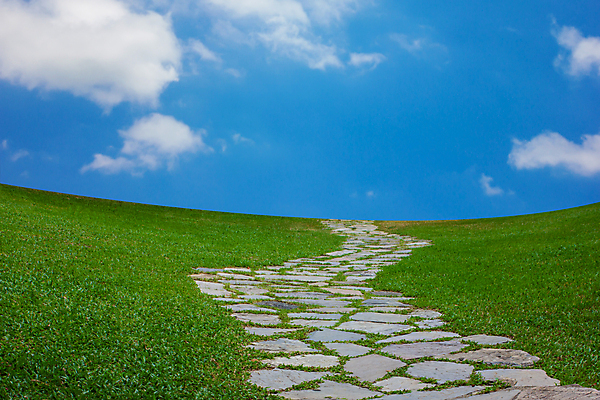 포토 JPG 해외이미지 식물 구름 계절 도로 길 음식 여행 백그라운드 밭 농업 교통시설 자연 벽지 하늘 산 따뜻함 풍경 사람없음 야외 초록색 여름 파란색 농장 평화 맑음 봄 자유 성장 바위 시골 땅 밀 순수 언덕 속도 장면 방법 수평선 해외202007 해외포토 자연요소 산업 컬러 교통 컨셉 날씨 곡류 돌_바위 시설 생태계 파일형식