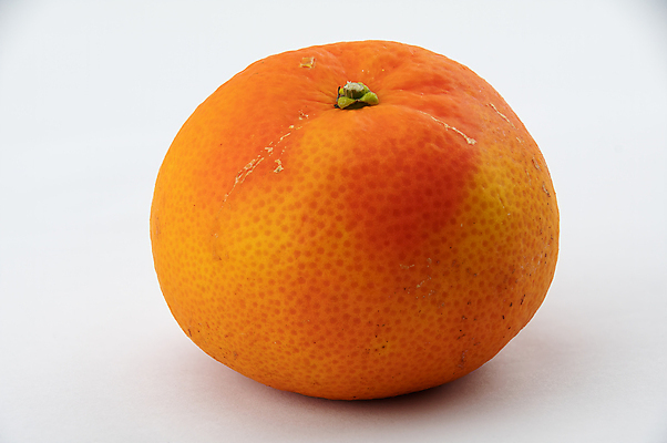 포토 JPG 해외이미지 전통 음식 다이어트 오렌지 과일 디저트 귤 건강 사람없음 빛 컬러풀 에너지 껍질 신선 원형 달콤 맛 흰배경 유기농 날것 내추럴 고립 쉬운 해외202007 해외포토 도형 웰빙 컬러 백그라운드 컨셉 흰색 파일형식