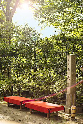 포토 JPG 해외이미지 나무 식물 전통 교육 문화 조각 잎 불교 벤치 휴식 미술 사람없음 야외 목재 빨간색 초록색 빛 컬러풀 태양 정원 일본 맑음 광선 직물 이름 영혼 우아함 도쿄 대나무 수국 직사각형 구식 펠트 결석 해외202007 해외포토 자연요소 도형 꽃 아시아 종교 컬러 컨셉 의자 재료 날씨 문화예술 파일형식 천_직물