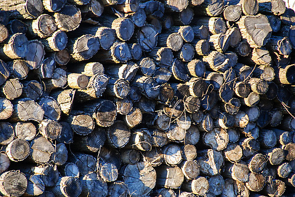 포토 JPG 해외이미지 겨울 자연 주택 사람없음 목재 쌓기 에너지 장작 난로 자르기 벽난로 통나무 연료 잡동사니 내추럴 해외202007 해외포토 나무 계절 재료 모션 건물 난방기 생태계 파일형식