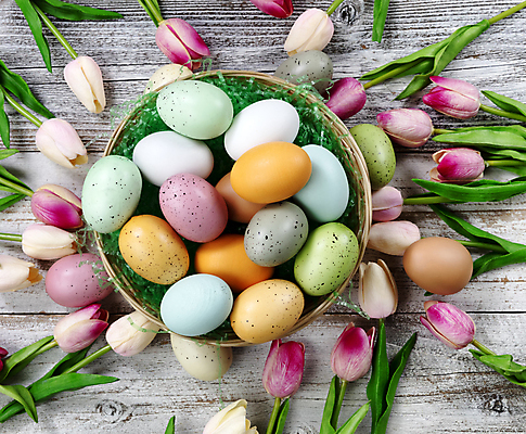 포토 JPG 해외이미지 전통 계절 꽃 행복 백그라운드 휴가 부활절 기념 사람없음 목재 장식 컬러풀 바구니 계란 페인트 봄 튤립 흰색 머리위 해외202007 해외포토 나무 식물 기념일 감정 컬러 재료 알 파일형식