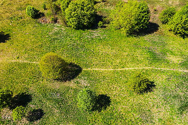 포토 JPG 해외이미지 나무 식물 도로 백그라운드 컨셉 지도 밭 자국 자연 추상 안테나 그림자 풍경 사람없음 목재 초록색 여름 컬러풀 태양 농장 마을 시골 신선 정상 숲 땅 언덕 러시아 기하학 드론 옛날 해외202007 해외포토 자연요소 계절 유럽 길 컬러 무늬 농업 재료 통신 교통시설 생태계 파일형식