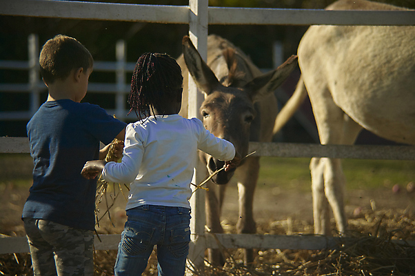 포토 JPG 해외이미지 백인 라이프스타일 공원 여자 남자 행복 어린이 장난 가족 자연 놀이 휴가 함께함 건강 사람 소년 사람없음 야외 초록색 친구 봄 기쁨 게임 흰색 아기 해외202007 해외포토 서양인 계절 공공시설 감정 컬러 컨셉 관계 생활 생태계 파일형식
