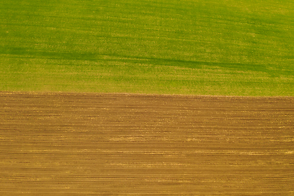 포토 JPG 해외이미지 식물 지구 선 백그라운드 패턴 밭 농업 자연 표면 추상 안테나 풍경 잔디 초원 사람없음 야외 가로 초록색 농작물 농장 농경지 환경 성장 시골 신선 플랫 정상 땅 밀 질감 조경 장면 땅바닥 밭일 해외202007 해외포토 산업 컬러 무늬 통신 곡류 바닥 생태계 파일형식