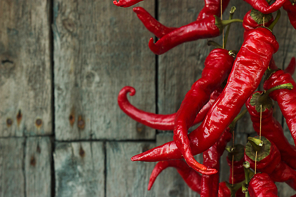 포토 JPG 해외이미지 식물 전통 문화 음식 채소 재료 자연 고추 불 피망 파프리카 건강 요리 사람없음 목재 빨간색 초록색 우주 주방 수확 흰색 신선 뜨거움 양념 조미료 그룹 다발 먹기 향신료 유기농 매움 향료 후추 온도 내추럴 연소 고립 숙성 옛날 채식주의자 많음 해외202007 해외포토 자연요소 나무 웰빙 컬러 컨셉 농업 모션 맛 생태계 채식 향기 냄새 향미료 파일형식