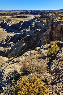 포토 JPG 해외이미지 공원 모래 백그라운드 자연 산 건조 국립공원 풍경 사람없음 빨간색 컬러풀 골짜기 계곡 미국 흙 사막 바위 그리기 숲 언덕 부식 지역 사암 애리조나 내추럴 전국 지질학 막 해외202007 해외포토 공공시설 교육 컬러 북아메리카 모션 돌_바위 생태계 파일형식