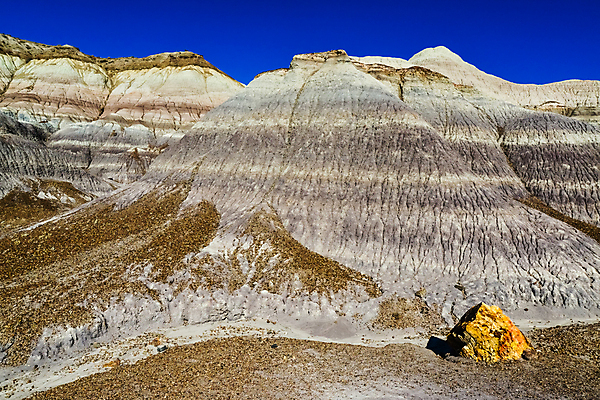 포토 JPG 해외이미지 공원 모래 백그라운드 자연 산 건조 국립공원 풍경 사람없음 빨간색 컬러풀 골짜기 계곡 미국 흙 사막 바위 그리기 숲 언덕 부식 지역 사암 애리조나 내추럴 전국 지질학 막 해외202007 해외포토 공공시설 교육 컬러 북아메리카 모션 돌_바위 생태계 파일형식