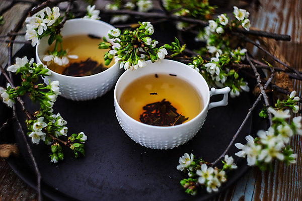 포토 JPG 해외이미지 꽃 음료 쟁반 사람없음 컵 나뭇가지 찻잔 해외202007 해외포토 나무 식물 식기 잔 파일형식