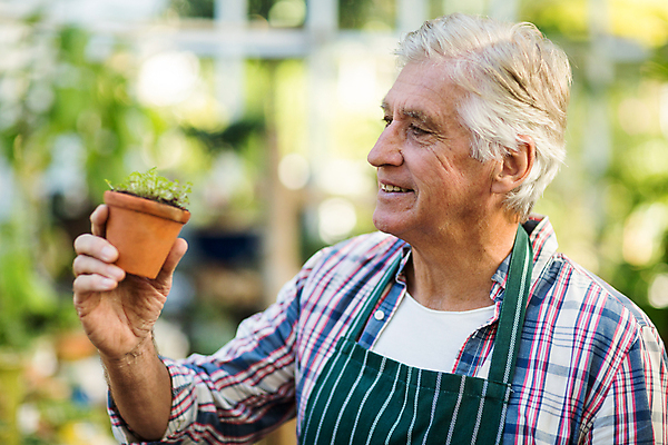 포토 JPG 해외이미지 식물 백인 직업 응시 노년 남자 한명 서기 취미 야외 스터디 정원 앞치마 60대 시작 원예 생물학 정원가꾸기 묘목 심기 온실 원예사 노인남자한명만 해외202007 해외포토 서양인 나무 1 시선 교육 모션 사람 성인 학습 남자한명만 노인남자만 파일형식