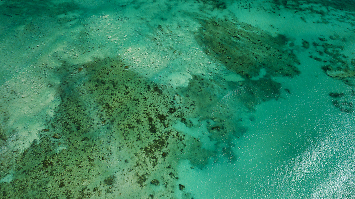 포토 JPG 해외이미지 스포츠 바다 여행 백그라운드 자연 하늘 휴가 안테나 풍경 사람없음 물 여름 파란색 우주 수중 액체 산호 땅 다이빙 암초 깊이 드론 터키석 해외202007 해외포토 자연요소 계절 컬러 통신 수영 자포동물 보석 생태계 수중스포츠 파일형식