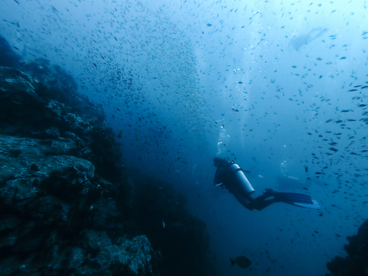 포토 JPG 해외이미지 손 실루엣 스포츠 바다 섬 여행 학교 태국 자연 휴가 어류 한명 사람 동양인 풍경 물 파란색 빛 태양 바닷속 수중 수영 거품 잠수부 땅 다이빙 암초 반대 내추럴 깊이 파라다이스 해외202007 해외포토 자연요소 1 교육 아시아 컬러 촬영기법 인종 신체부위 수중동물 수상스포츠 전문직 생태계 수중스포츠 파일형식