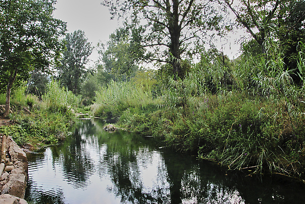 포토 JPG 해외이미지 나무 구름 공원 여행 자연 휴가 휴식 손바닥 풍경 사람없음 야외 빨간색 초록색 물 빛 강 컬러풀 태양 노란색 평화 일출 수영 침묵 봄 폭포 전원 저녁 숲 석호 내추럴 파라다이스 수평선 해외202007 해외포토 자연요소 식물 손 계절 공공시설 컬러 컨셉 노을 소리 수상스포츠 전기에너지 야간 생태계 파일형식