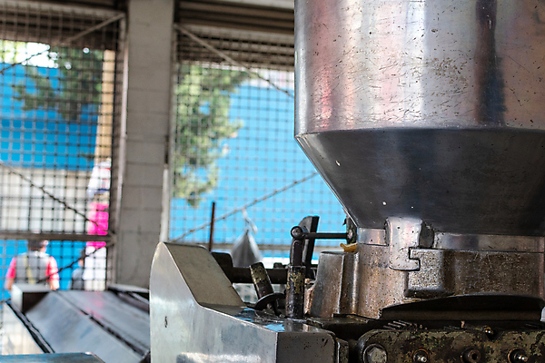 포토 JPG 해외이미지 문화 음식 농업 채소 재료 자연 멕시코 건조 건강 옥수수 씨앗 사람없음 농작물 노란색 저녁식사 황금 플러그 낟알 시리얼 유기농 질감 알맹이 날것 반죽 팝콘 타코 내추럴 방앗간 고립 영양분 해외202007 해외포토 식물 웰빙 산업 컬러 북아메리카 곡류 식사 생태계 파일형식