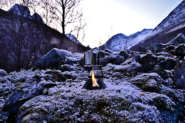 포토 JPG 해외이미지 나무 커피 여행 겨울 자연 하늘 산 풍경 사람없음 야외 하이킹 숲 내추럴 절정 해외202007 해외포토 식물 계절 음료 레저 생태계 파일형식