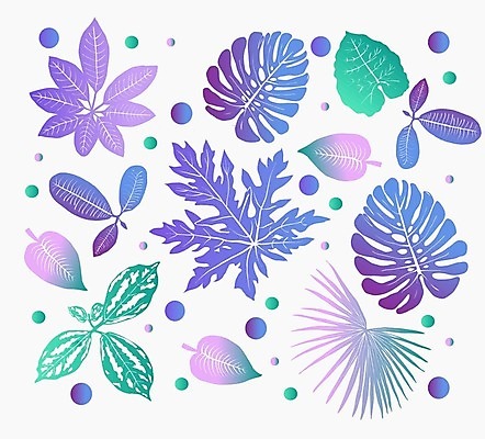 EPS 해외이미지 나무 식물 템플릿 디자인 잎 꽃무늬 일러스트 자연 추상 열대 손바닥 미술 경사 그래픽 장식 세트 컬러풀 유행 보라색 봄 활발 숲 인쇄 열대우림 수집 하와이 내추럴 엘리먼트 이국적 파라다이스 스타일 해외202007 해외일러스트 손 계절 꽃 컬러 컨셉 무늬 문화예술 미국 생태계 파일형식 벡터