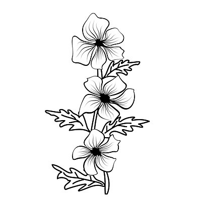 EPS 해외이미지 모양 식물 디자인 꽃잎 꽃 선 백그라운드 잎 꽃무늬 패턴 일러스트 미술 장식 여름 정원 검은색 봄 흰색 심볼 오브젝트 윤곽 내추럴 고립 엘리먼트 스타일 해외202007 해외일러스트 계절 컬러 무늬 문화예술 파일형식 벡터