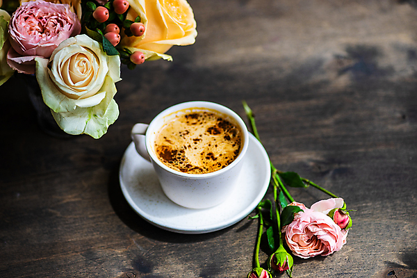 포토 JPG 해외이미지 식물 꽃잎 꽃 리본 커피 음료 꽃다발 결혼 백그라운드 컨셉 꽃무늬 탁자 휴가 프레임 선물 사람없음 내부 장식 컵 세트 상자 장미 축제 낭만 머그컵 벚꽃 흰색 시골 신용카드 개화 냄비 에스프레소 설정 카페인 콘크리트 카피스페이스 해외202007 해외포토 식기 컬러 가구 무늬 이벤트 금융 공백 솥 파일형식