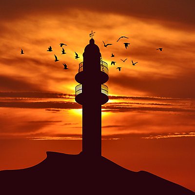 포토 JPG 해외이미지 동물 구름 실루엣 포스터 야생동물 바다 섬 백그라운드 날개 오렌지 일러스트 건축양식 자연 갈매기 조류 하늘 휴가 등대 항해 풍경 해변 사람없음 야외 건물 빨간색 물 여름 빛 햇빛 탑 검은색 일몰 광선 그룹 저녁 심플 사방 수평선 해외202007 해외포토 자연요소 건축물 계절 건축 컬러 배_교통 과일 촬영기법 태양 노을 야간 생태계 파일형식