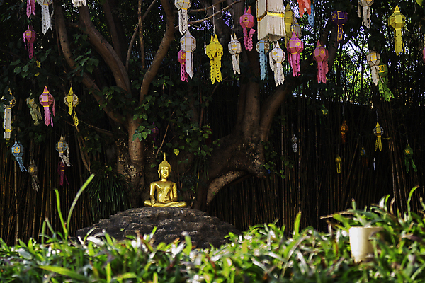 포토 JPG 해외이미지 구름 문화 여행 불교 태국 자연 하늘 풍경 사람없음 야외 관광지 조각상 사찰 명승지 해외202007 해외포토 자연요소 아시아 종교 종교건축 조형물 생태계 파일형식
