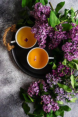 포토 JPG 해외이미지 꽃 사람없음 장식 하이앵글 찻잔 플랫레이 해외202007 해외포토 식물 뷰포인트 잔 플랫 파일형식