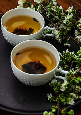 포토 JPG 해외이미지 쟁반 근접촬영 사람없음 나뭇가지 찻잔 찻잎 해외202007 해외포토 나무 뷰포인트 잔 차_음료 파일형식