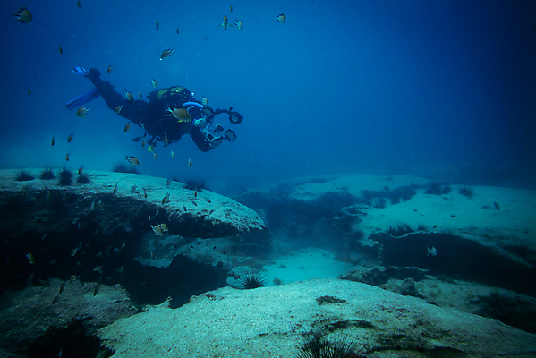 포토 JPG 해외이미지 동물 스포츠 바다 섬 여행 백그라운드 학교 자연 낚시 어류 한명 풍경 물 파란색 카메라 바닷속 수중 수영 잠수부 사진사 생태계 다이빙 암초 내추럴 깊이 파라다이스 해외202007 해외포토 자연요소 1 교육 컬러 레저 사람 전자제품 수중동물 수상스포츠 전문직 작가 수중스포츠 파일형식