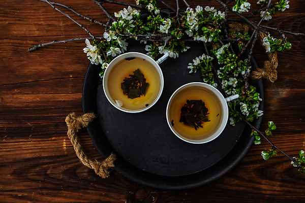 포토 JPG 해외이미지 꽃 쟁반 사람없음 하이앵글 찻잔 찻잎 해외202007 해외포토 식물 뷰포인트 잔 차_음료 파일형식