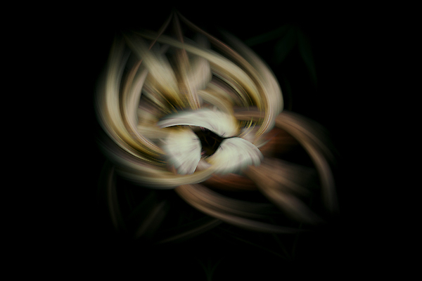 포토 JPG 해외이미지 디자인 선 백그라운드 컨셉 패턴 곡선 모션 추상 미래 미술 사람없음 그래픽 빛 우주 디지털 에너지 질감 회전 공상 오리지널 흥미 스타일 효과 해외202007 해외포토 무늬 문화예술 파일형식