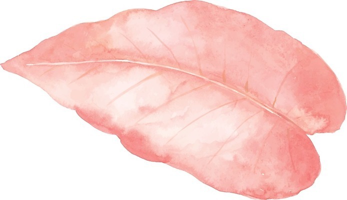 EPS 해외이미지 나무 식물 디자인 계절 분홍색 컨셉 잎 꽃무늬 일러스트 자연 추상 수채화 잉크 아이디어 미술 그래픽 장식 물 컬러풀 페인트 봄 붓 그리기 오브젝트 그림 질감 내추럴 고립 파스텔톤 해외202007 해외일러스트 자연요소 꽃 컬러 무늬 모션 문화예술 생태계 파일형식 벡터