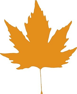 EPS 해외이미지 나무 식물 디자인 계절 공원 백그라운드 단풍 잎 패턴 오렌지 일러스트 자연 표면 야외 목재 장식 초록색 컬러풀 갈색 노란색 환경 활발 추위 가을 흰색 닫기 숲 9월 심볼 묘사 질감 10월 내추럴 고립 땅바닥 플라타너스 노화 해외202007 해외일러스트 공공시설 컬러 컨셉 무늬 과일 재료 모션 바닥 날짜 생태계 파일형식 벡터